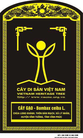 Vỉnh[-]Phúc:[-]Cây[-]Gạo[-]cổ[-]thụ[-]trăm[-]tuổi[-]tại[-]chùa[-]Long[-]Khánh[-]được[-]vinh[-]danh[-]Cây[-]Di[-]sản[-]Việt[-]Nam