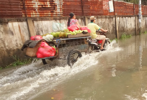Thủy[-]triều[-]nhấn[-]chìm[-]hầu[-]hết[-]các[-]tuyến[-]đường[-]và[-]cả[-]những[-]con[-]hẻm[-]ở[-]các[-]khu[-]dân[-]cư[-]mới[-]ven[-]sông[-]Sài[-]Gòn,[-]thuộc[-]P.Hiệp[-]Bình[-]Chánh,[-]Q.Thủ[-]Đức