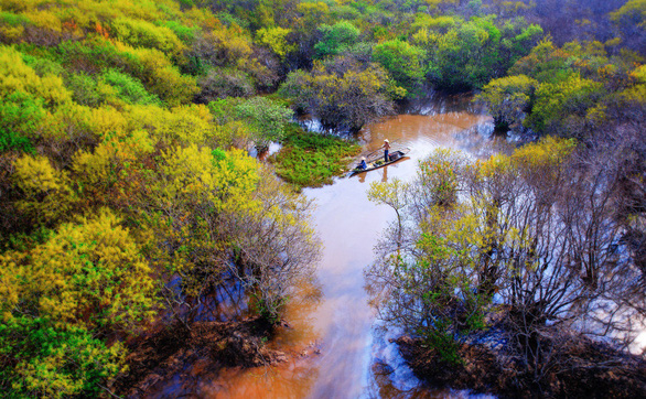 Rừng[-]thu[-]Rú[-]Chá[-]qua[-]góc[-]ảnh[-]flycam