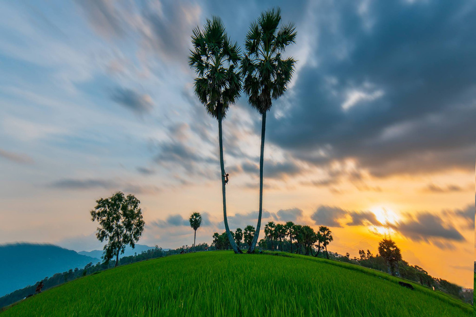 Đến[-]"xứ[-]sở[-]cây[-]thốt[-]nốt"[-]Tịnh[-]Biên[-]mùa[-]nước[-]nổi