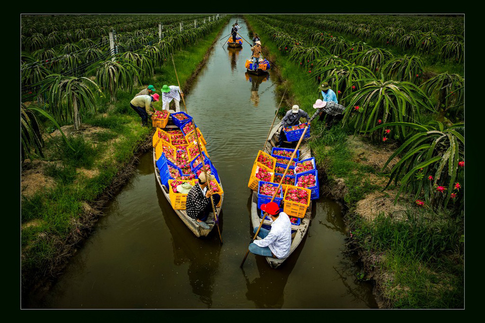 Ngây[-]ngất[-]với[-]thiên[-]nhiên[-]và[-]đời[-]sống[-]người[-]Việt[-]qua[-]ảnh
