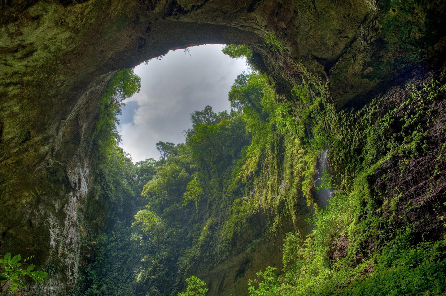 Sơn[-]Đoòng[-]và[-]hành[-]trình[-]tìm[-]ra[-]hang[-]động[-]tự[-]nhiên[-]lớn[-]nhất[-]thế[-]giới
