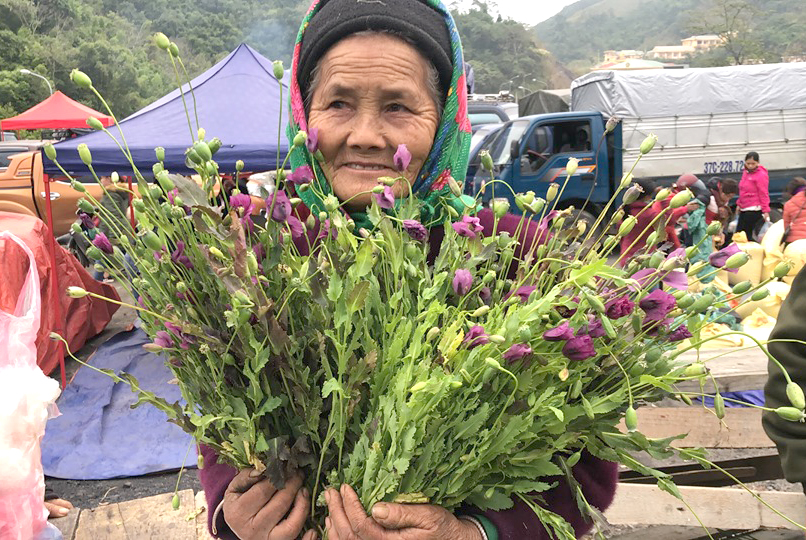 Cây[-]thuốc[-]phiện[-]bày[-]bán[-]như[-]rau[-]ở[-]chợ[-]biên[-]giới[-]Việt[-]-[-]Lào