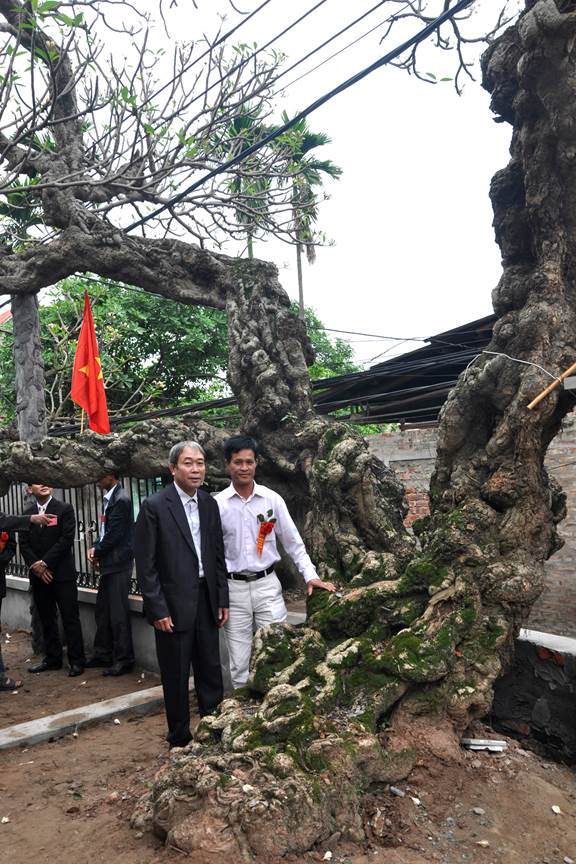 Cây[-]Di[-]sản-một[-]nguồn[-]gen[-]cây[-]thuốc[-]quý