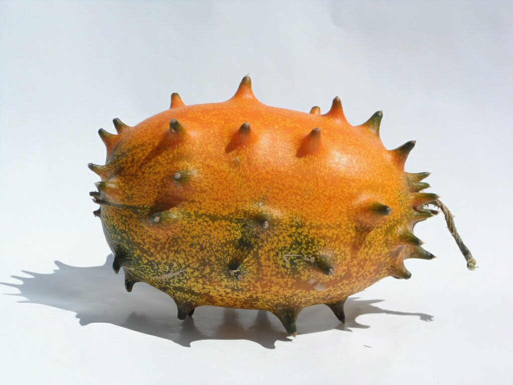 Dưa[-]chuột[-]mọc[-]sừng[-]-[-]loại[-]quả[-]như[-]tới[-]từ[-]hành[-]tinh[-]khác