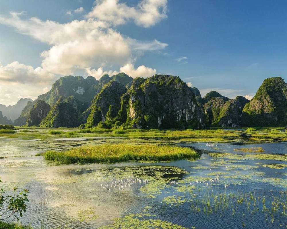 Ninh[-]Bình[-]bảo[-]tồn[-]và[-]sử[-]dụng[-]bền[-]vững[-]Khu[-]Bảo[-]tồn[-]thiên[-]nhiên[-]đất[-]ngập[-]nước[-]Vân[-]Long