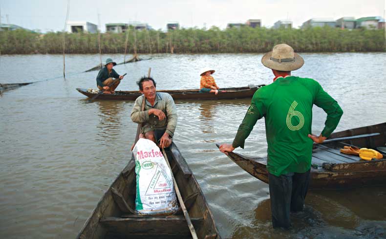 nuoc[-]noi