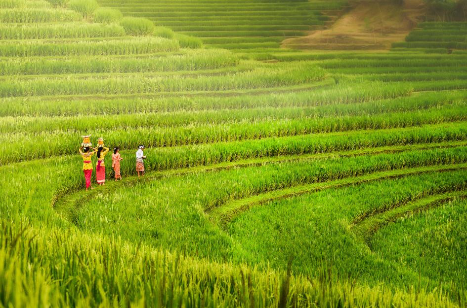 Những[-]sắc[-]màu[-]đặc[-]trưng[-]của[-]các[-]nước[-]trên[-]thế[-]giới