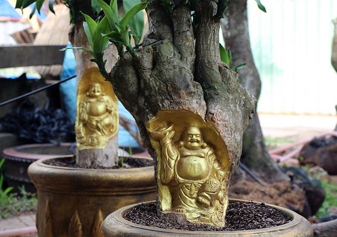 Tượng[-]Phật[-]Di[-]Lặc[-]hiện[-]hình[-]trên[-]cây[-]khế[-]già