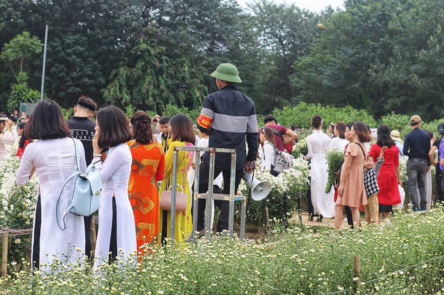Biển[-]người[-]đổ[-]về[-]chụp[-]ảnh,[-]vườn[-]cúc[-]họa[-]mi[-]“vỡ[-]trận”