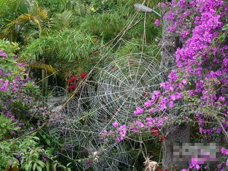 Biệt[-]thự[-]Đà[-]Lạt[-]lên[-]báo[-]Anh