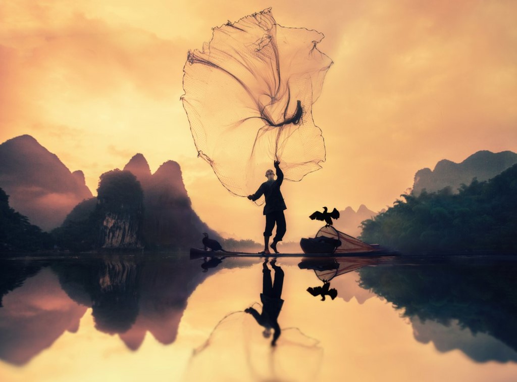 Ảnh[-]chụp[-]mầm[-]đậu[-]của[-]Việt[-]Nam[-]lọt[-]vào[-]top[-]ảnh[-]đẹp[-]Giải[-]thưởng[-]ảnh[-]lớn[-]nhất[-]thế[-]giới[-]
