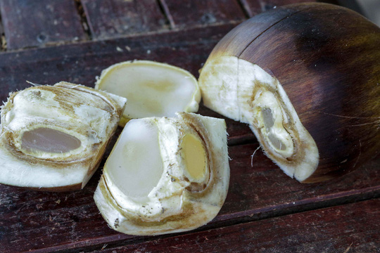 [-]Đã[-]khát[-]với[-]đặc[-]sản[-]vùng[-]Bảy[-]Núi[-]mùa[-]nắng[-]hạn