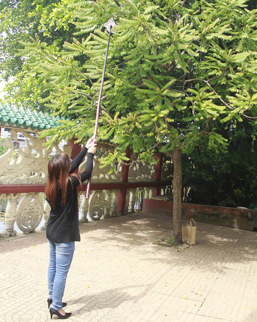 Miếu[-]Nổi[-]-[-]địa[-]chỉ[-]tạ[-]lễ,[-]cầu[-]duyên[-]cuối[-]năm[-]của[-]người[-]Sài[-]Gòn