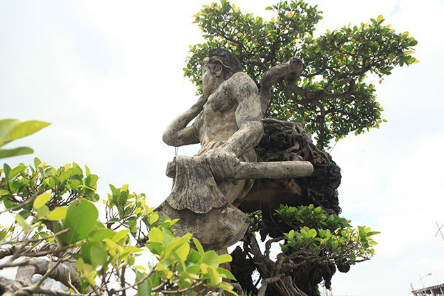Xôn[-]xao[-]“cây[-]Thạch[-]Sanh”[-]được[-]báo[-]giá[-]hơn[-]4[-]tỷ[-]đồng[-]ở[-]Hải[-]Dương