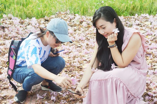 Con[-]đường[-]hoa[-]kèn[-]hồng[-]ở[-]Sóc[-]Trăng