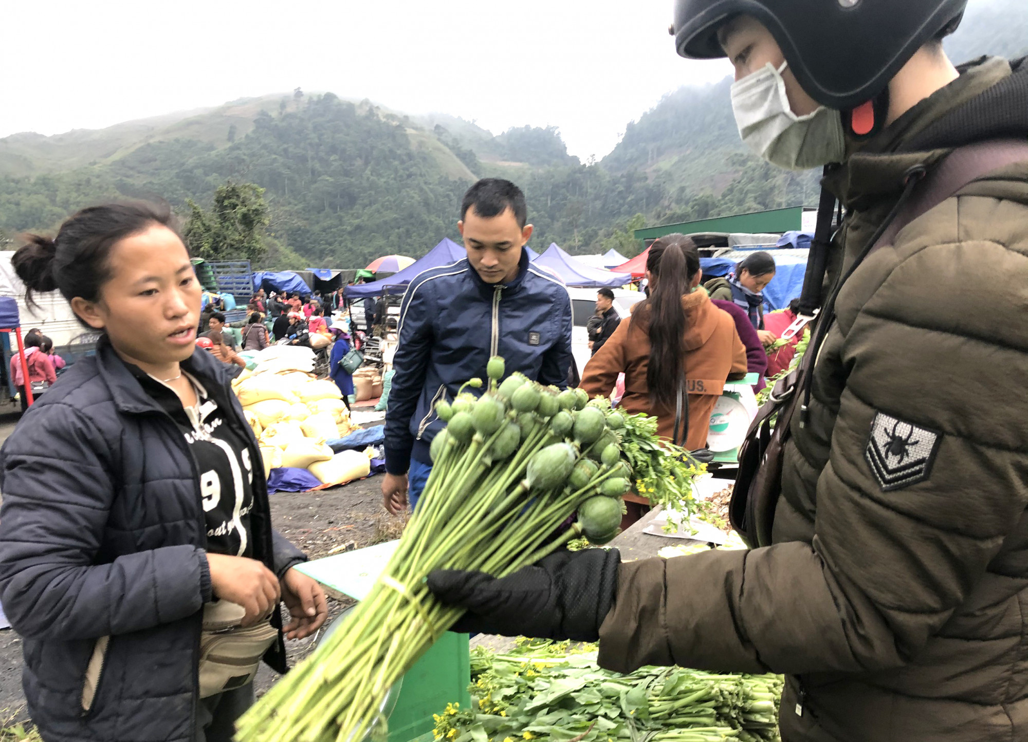Cây[-]thuốc[-]phiện[-]bày[-]bán[-]như[-]rau[-]ở[-]chợ[-]biên[-]giới[-]Việt[-]-[-]Lào