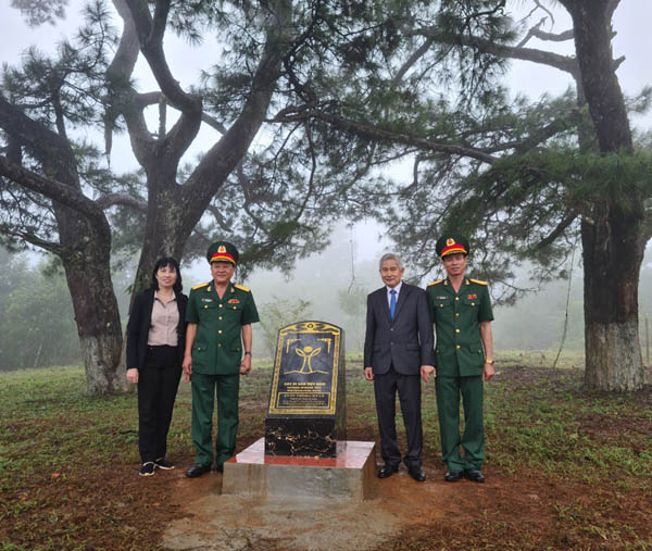 Nhiều[-]cây[-]cổ[-]thụ[-]vùng[-]biên[-]giới[-]tỉnh[-]Đắk[-]Nông[-]được[-]công[-]nhận[-]là[-]“Cây[-]di[-]sản[-]Việt[-]Nam”