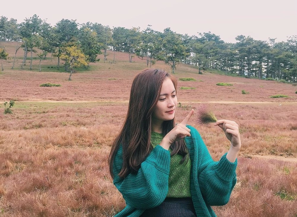 Ngoài[-]Đà[-]Lạt,[-]còn[-]nơi[-]nào[-]có[-]đồi[-]cỏ[-]hồng[-]đẹp[-]mê[-]mẩn?