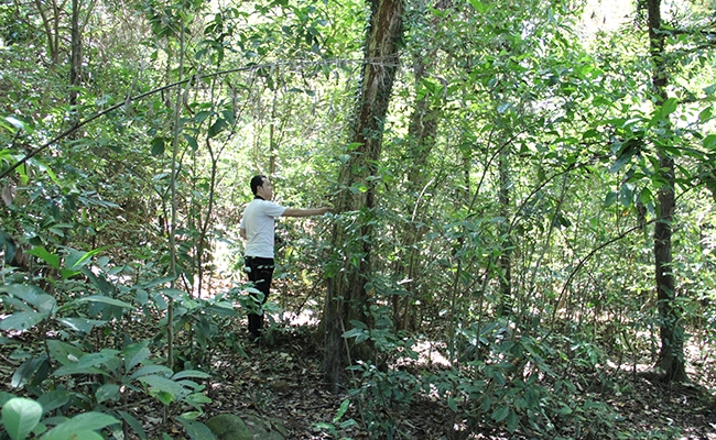 Đà[-]Nẵng:[-]Phá[-]hồn[-]làng[-]cổ,[-]quên[-]thời[-]tiền[-]nhân?