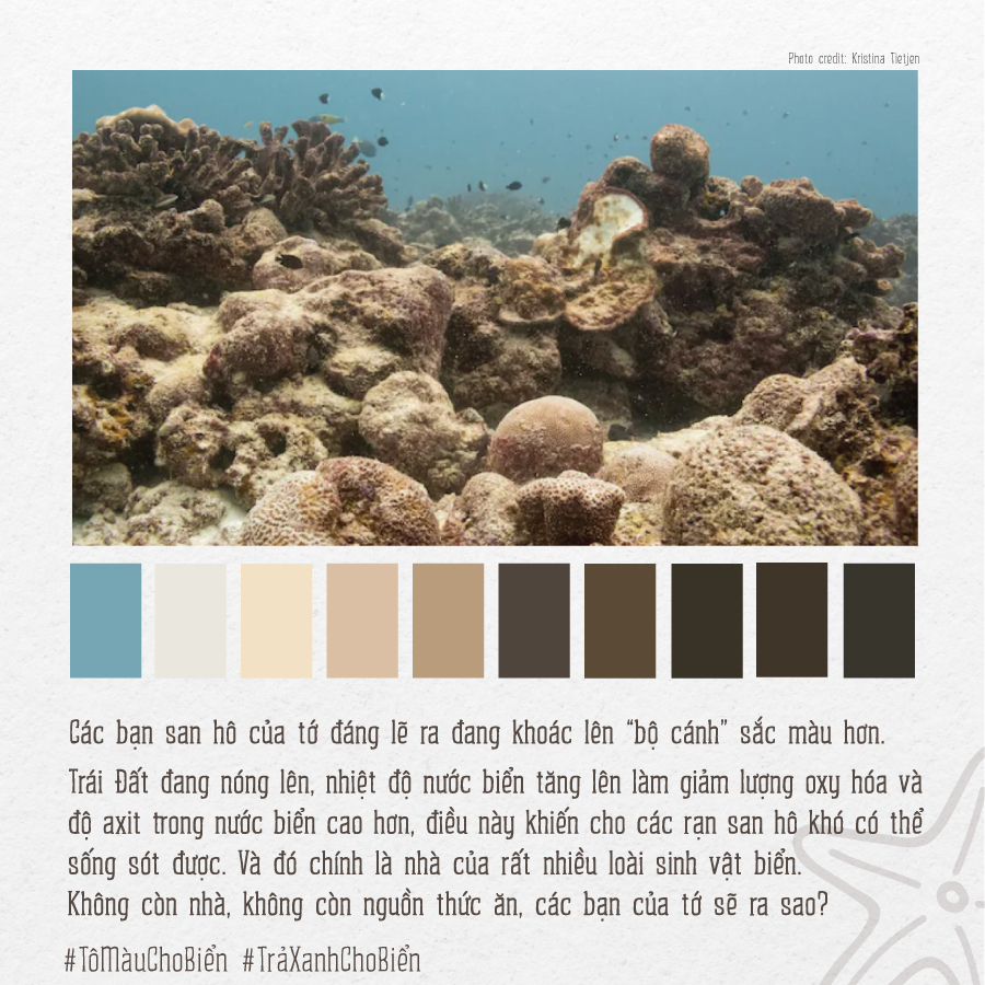 Bộ[-]ảnh[-]“Tô[-]màu[-]cho[-]biển”