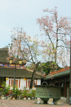 Tỏa[-]bóng[-]cùng[-]đền[-]đài