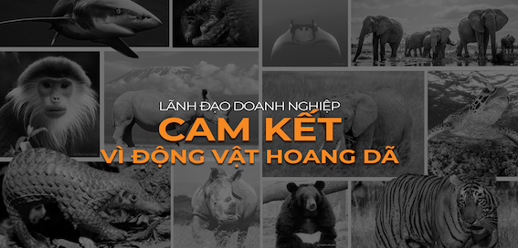 Doanh[-]nghiệp[-]“Cam[-]kết[-]vì[-]Động[-]vật[-]hoang[-]dã"