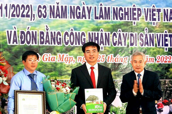 Những[-]cây[-]cổ[-]thụ[-]đầu[-]tiên[-]của[-]tỉnh[-]Bình[-]Phước[-]được[-]vinh[-]danh[-]Cây[-]Di[-]sản[-]Việt[-]Nam