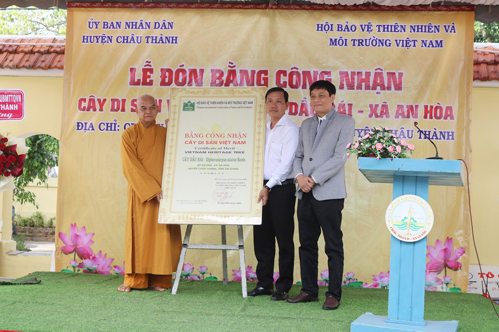 Thêm[-]3[-]cây[-]tại[-]An[-]Giang[-]được[-]công[-]nhận[-]Cây[-]di[-]sản[-]Việt[-]Nam