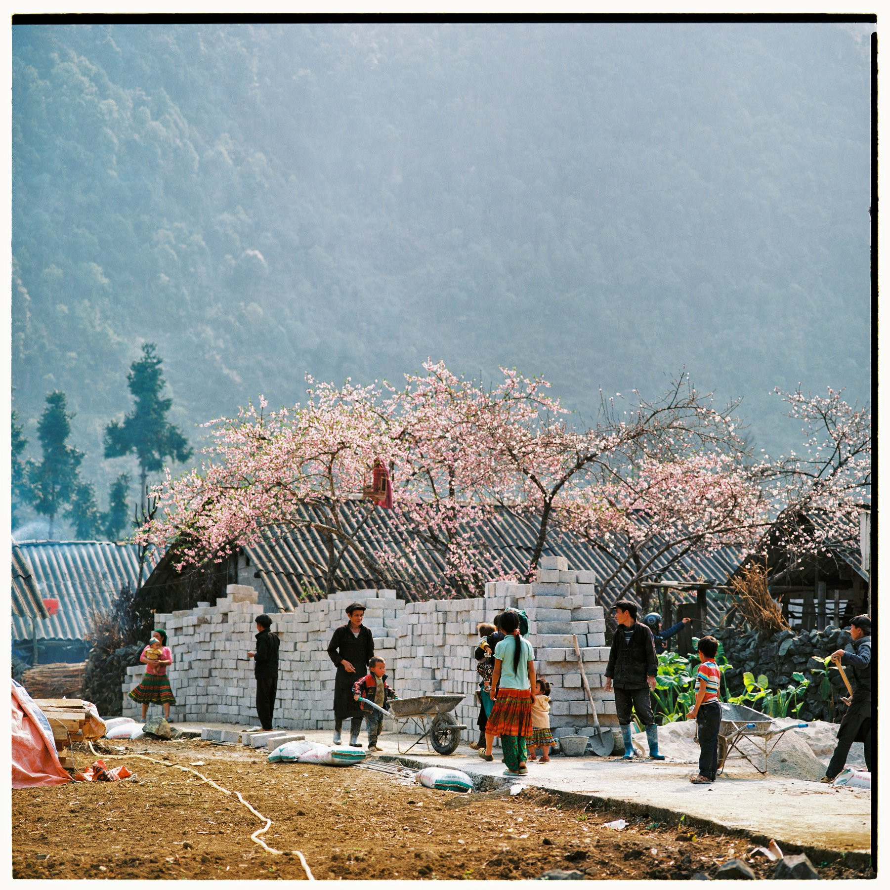 Bộ[-]ảnh[-]phim[-]tuyệt[-]đẹp[-]về[-]cao[-]nguyên[-]đá[-]Hà[-]Giang[-]mùa[-]xuân
