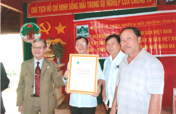 Đắk[-]Lắk:[-]Cây[-]bảo[-]vệ[-]nguồn[-]nước[-]ở[-]Buôn[-]Ky[-]được[-]công[-]nhận[-]Cây[-]Di[-]sản[-]Việt[-]Nam