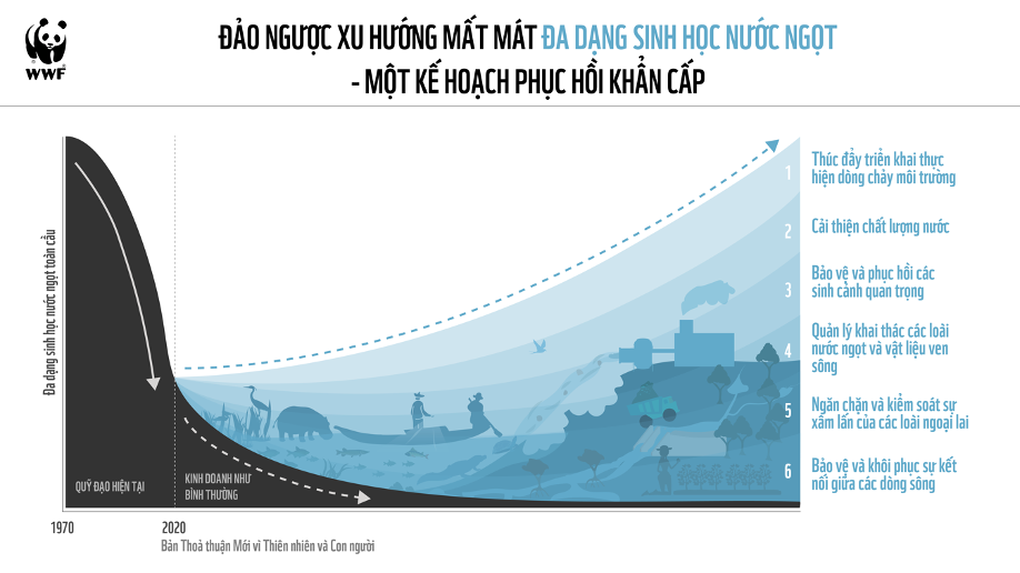 Cần[-]một[-]Kế[-]hoạch[-]Phục[-]hồi[-]Khẩn[-]cấp[-]để[-]ngăn[-]chặn[-]sự[-]suy[-]thoái[-]nghiêm[-]trọng[-]của[-]thế[-]giới[-]đa[-]dạng[-]sinh[-]học[-]nước[-]ngọt