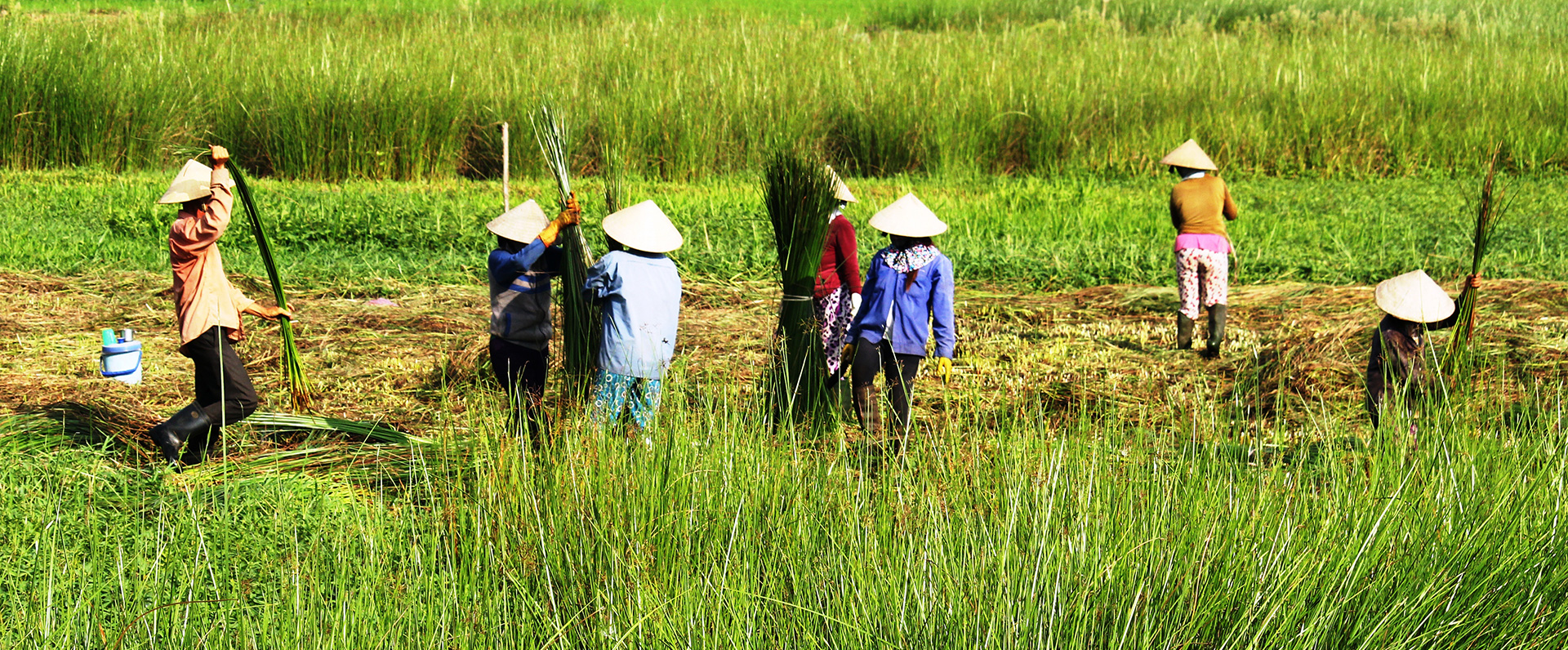 Về[-]miền[-]chiếu[-]cói[-]xã[-]Tam[-]Quan[-]Bắc,[-]huyện[-]Hoài[-]Nhơn,[-]Bình[-]Định[-]