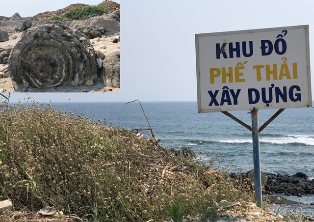 Quảng[-]Ngãi:[-]Chính[-]quyền[-]"vô[-]cảm"[-]với[-]san[-]hô[-]hóa[-]thạch[-]6.000[-]tuổi?