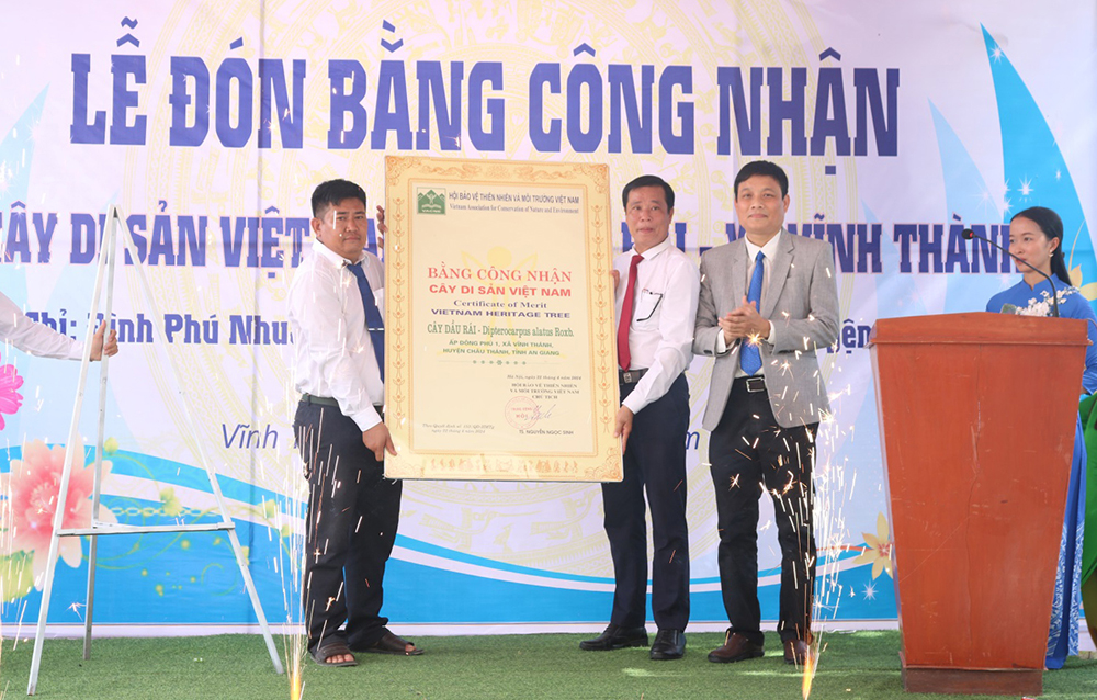 Thêm[-]3[-]cây[-]tại[-]An[-]Giang[-]được[-]công[-]nhận[-]Cây[-]di[-]sản[-]Việt[-]Nam