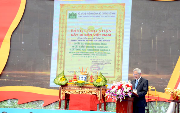 Quảng[-]Ninh[-]tổ[-]chức[-]lễ[-]công[-]nhận[-]Cây[-]Di[-]sản[-]Việt[-]Nam[-]vào[-]đúng[-]ngày[-]Khai[-]hội[-]Đền[-]Cửa[-]Ông[-]năm[-]2024.