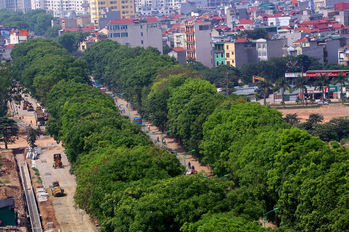 Hà[-]Nội[-]sẽ[-]đánh[-]chuyển,[-]chặt[-]hạ[-]1.300[-]cây[-]xanh[-]trong[-]3[-]tháng[-]tới