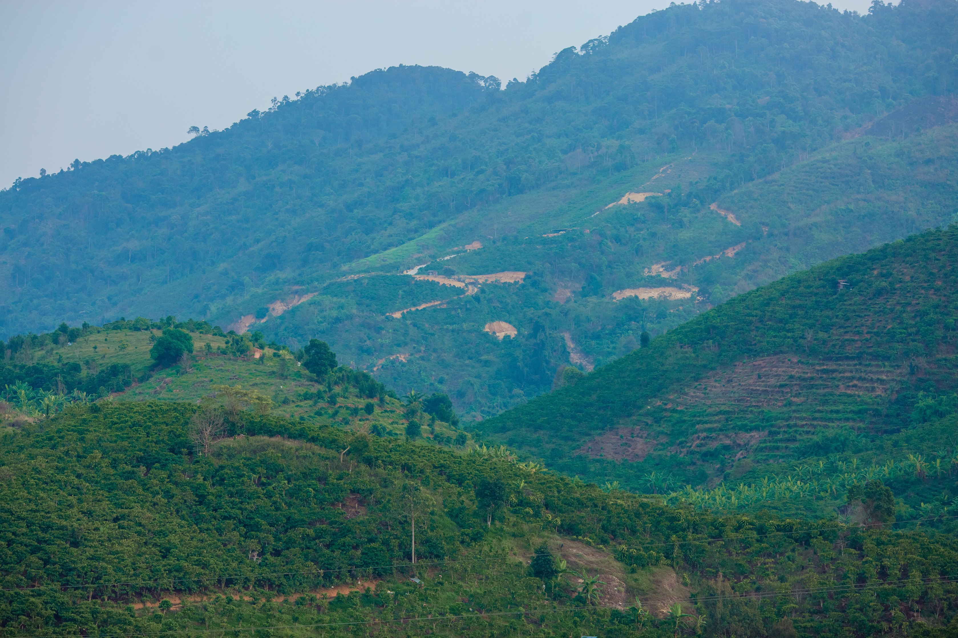 Đà[-]Lạt[-]đừng[-]để[-]những[-]người[-]con[-]xa[-]quê[-]lại[-]phải[-]tiếp[-]tục[-]thở[-]dài[-]bởi[-]ngọn[-]đồi[-]nham[-]nhở!