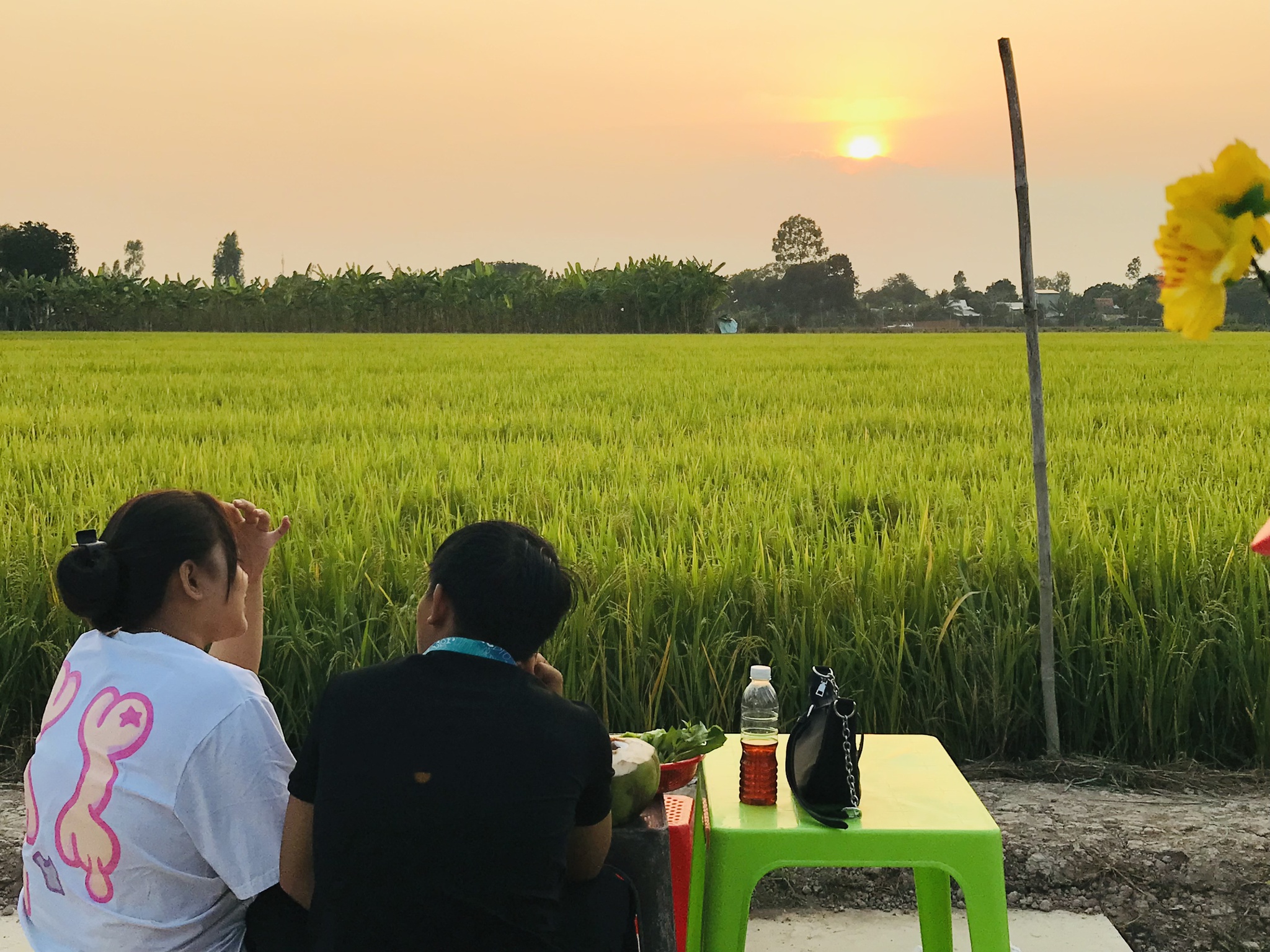 Quán[-]ăn[-]giữa[-]ruộng[-]lúa[-]mênh[-]mông[-]miền[-]Tây:[-]Nhiều[-]người[-]"rụng[-]tim"