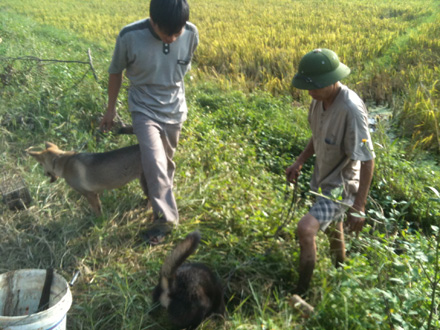 Hành[-]trình đi[-]săn bắt[-]đầu