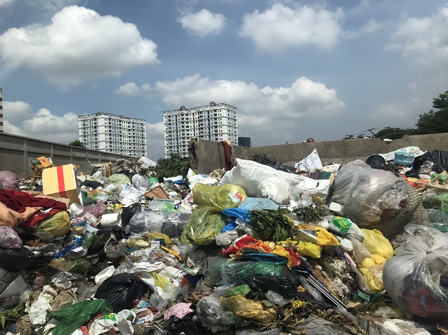Loại[-]rác[-]nào[-]có[-]thể[-]đốt[-]để[-]phát[-]điện?