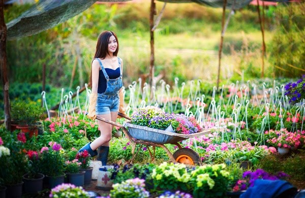 Từ[-]nay[-]tới[-]Tết[-]dương[-]lịch[-]có[-]5[-]đợt[-]không[-]khí[-]lạnh,[-]3[-]đợt[-]rét[-]đậm,[-]đề[-]phòng[-]bão[-]số[-]10