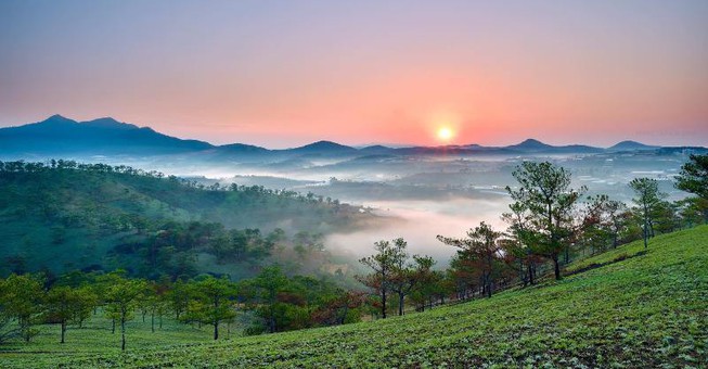 Lâm[-]Đồng:[-]Phạt[-]241[-]triệu[-]đồng[-]đối[-]với[-]một[-]doanh[-]nghiệp[-]tự[-]ý[-]chuyển[-]đổi[-]đất[-]rừng[-]sang[-]mục[-]đích[-]khác