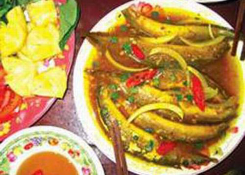 Cá[-]chạch[-]hầm.