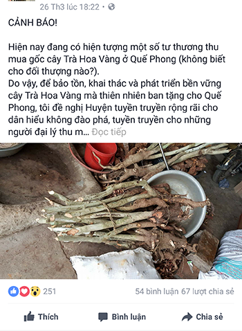 Nghệ[-]An:[-]Qua[-]Facebook,[-]Giám[-]đốc[-]Sở[-]cảnh[-]báo[-]nạn[-]"chảy[-]máu"[-]gốc[-]chè[-]hoa[-]vàng