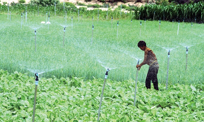 Chuyển[-]đổi[-]cơ[-]cấu[-]sản[-]xuất[-]thích[-]ứng[-]với[-]thời[-]tiết[-]