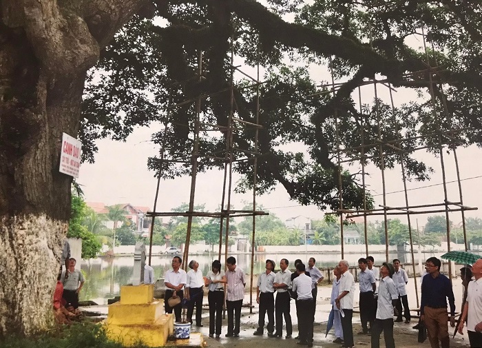 Hạn[-]chế[-]những[-]tác[-]động[-]bất[-]lợi[-]đến[-]công[-]tác[-]bảo[-]tồn[-]Cây[-]Di[-]sản