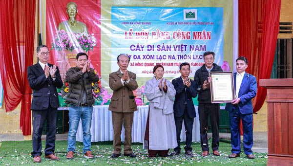 Cây[-]đa[-]trên[-]500[-]năm[-]tuổi[-]ở[-]Nam[-]Định[-]được[-]công[-]nhận[-]Cây[-]Di[-]sản[-]Việt[-]Nam