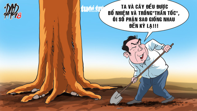 Từ[-]bao[-]giờ[-]có[-]Tết[-]trồng[-]cây...[-]cổ[-]thụ!