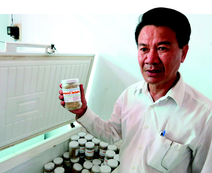 Trái[-]bần[-]giúp[-]làm[-]giàu